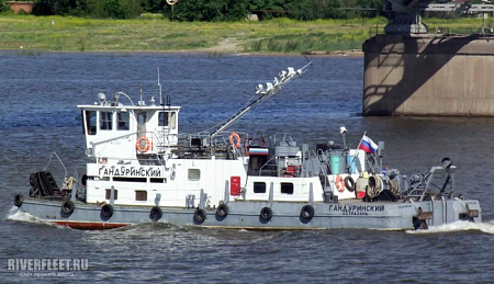 ГАНДУРИНСКИЙ