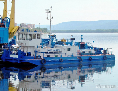 СОКОЛЬНИКИ