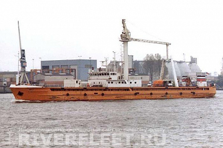 FORTUNE STAR 7